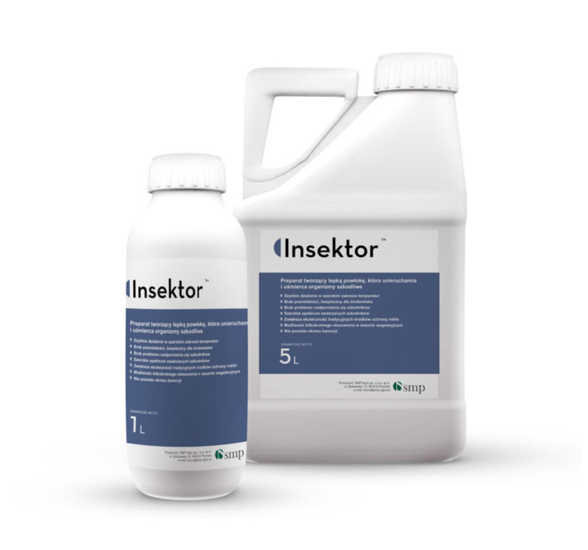 Insektor