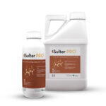Sulter PRO